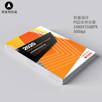 高端企業(yè)畫冊書籍標(biāo)書封面