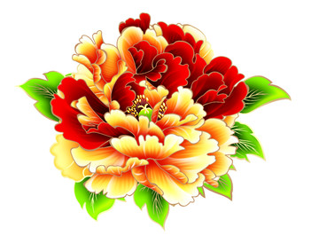 花 手繪 牡丹花