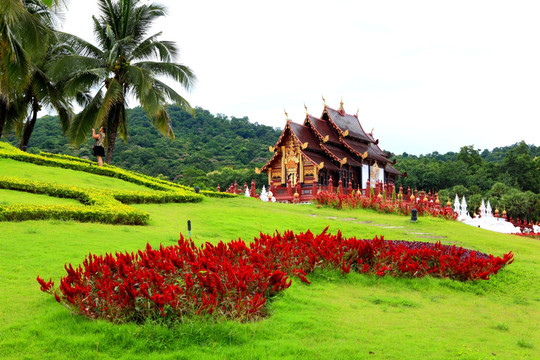 园艺风景