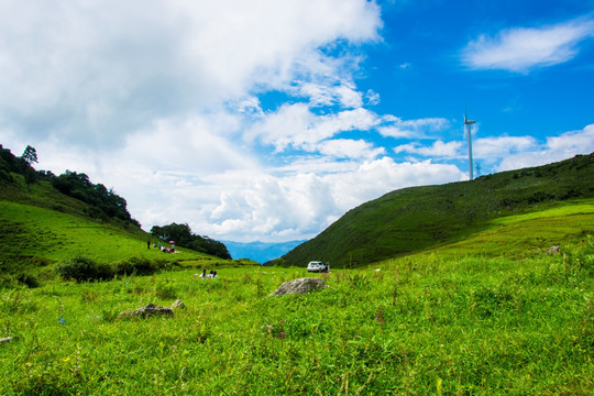 草场 山地