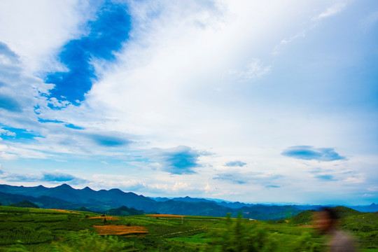 山地 菊花