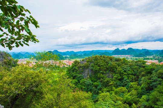 山林 丘陵