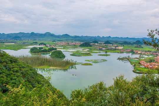 湿地风光