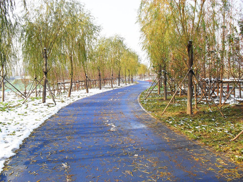 公园里的道路景观