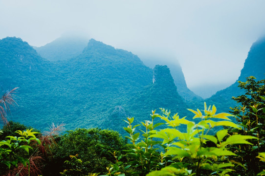 雾色山野