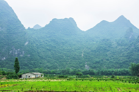 美丽田园