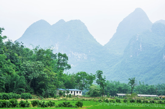 美丽田园