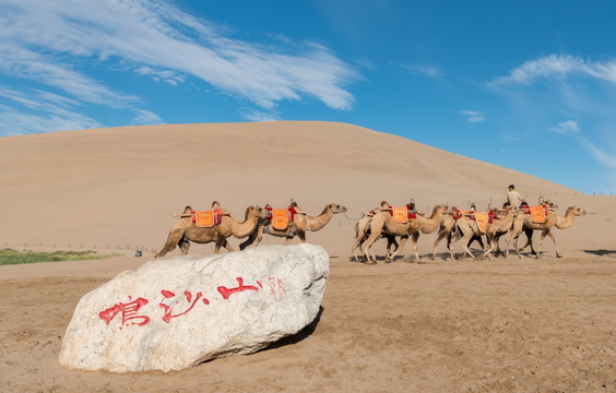 鸣沙山骆驼队