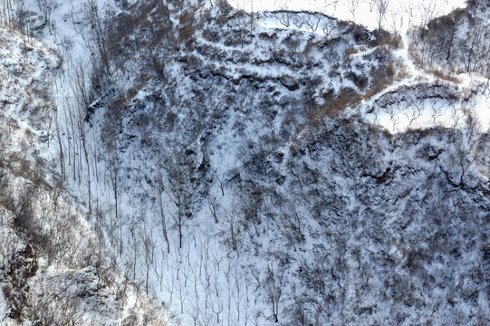 田园雪景