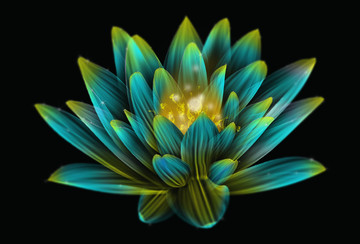 蓮花