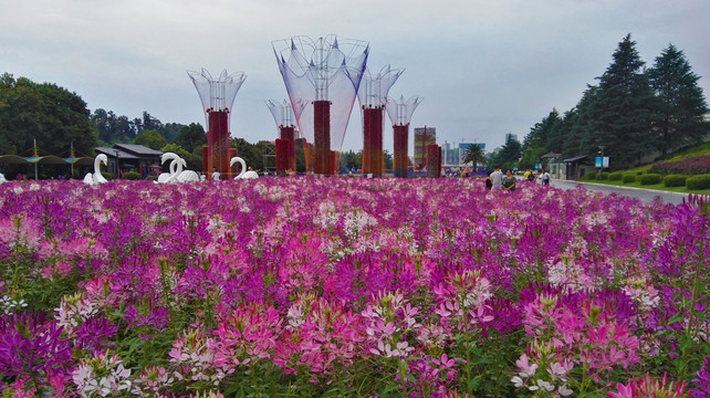 花海 花柱