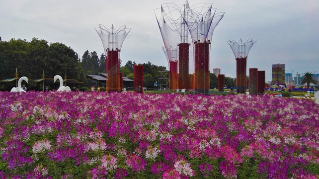 花海 花柱