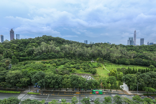 深圳莲花山公园