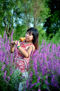 吹葫芦丝