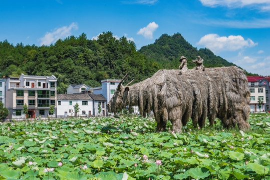 荷田