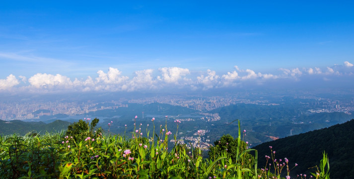 深圳风景