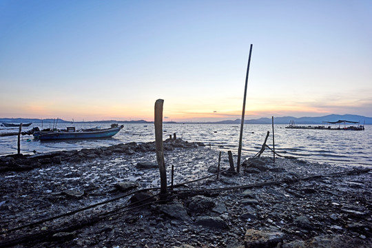 湿地 滩涂