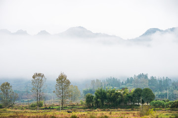 水墨山水