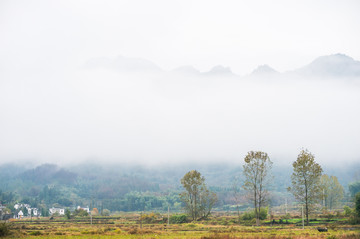 秀美山村