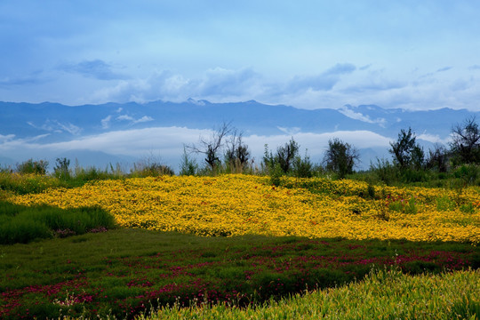 植物园