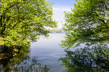 西湖周边水景