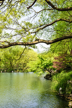 西湖周边水景