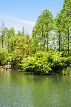 西湖周边水景