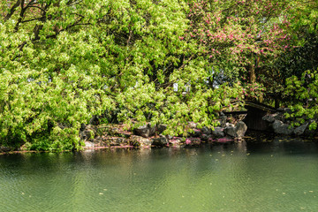 西湖周边水景