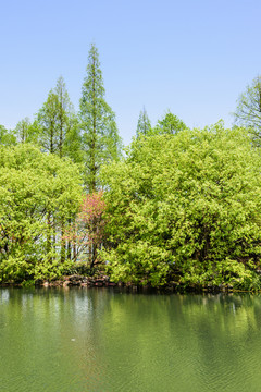 西湖周边水景