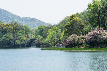 西湖周边水景