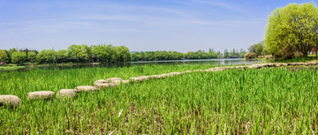 西湖周边水景