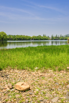 西湖周边水景