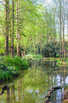 西湖周边水景