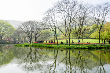 太子湾公园水景