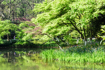 太子湾公园水景