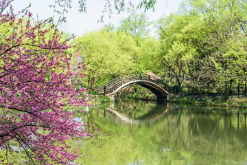 西湖周边水景