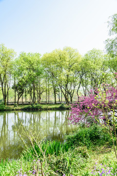 西湖周边水景