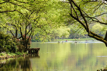 西湖周边水景