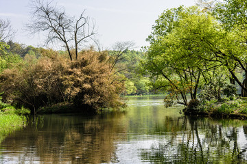 西湖周边水景