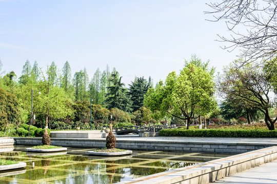 杭州花圃园林景观