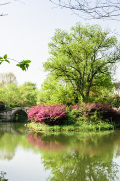 杭州花圃园林景观