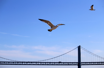 海鷗大橋