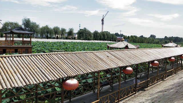 公园竹屋 全景