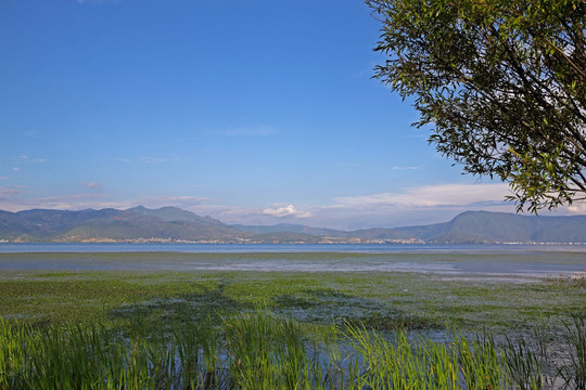 洱海美景