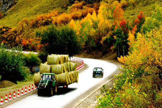 秋季山间公路