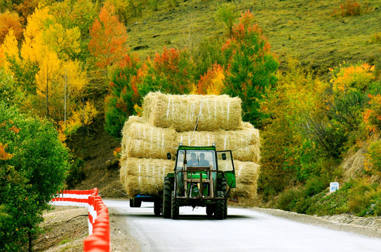 秋季公路拉草车