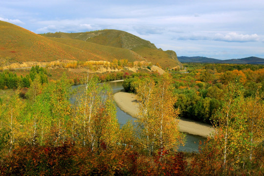 秋季河流白桦林