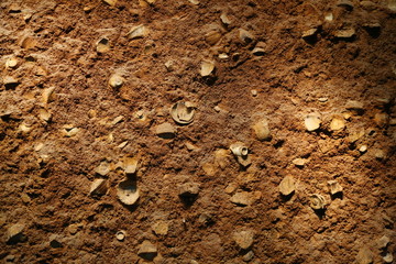 泥土中考古瓷片背景