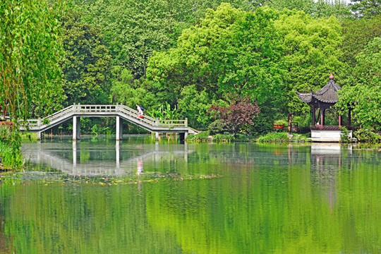 风荷景区