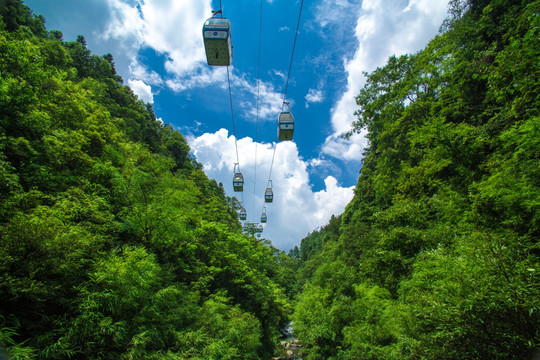 重庆旅游自然森林风光